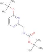 (4-tert-Butoxy-pyrimidin-2-ylmethyl)-carbamic acid tert-butyl ester