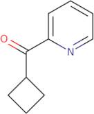 2-Cyclobutanecarbonylpyridine