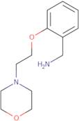 (2-(2-Morpholinoethoxy)phenyl)methanamine