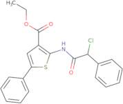 Ethyl 2-(2-chloro-2-phenylacetamido)-5-phenylthiophene-3-carboxylate