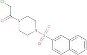 2-Chloro-1-[4-(naphthalene-2-sulfonyl)piperazin-1-yl]ethan-1-one