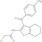 2-Chloro-N-[3-(4-methylbenzoyl)-4,5,6,7-tetrahydro-1-benzothiophen-2-yl]acetamide