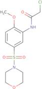 2-Chloro-N-[2-methoxy-5-(morpholine-4-sulfonyl)phenyl]acetamide