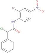 N-(2-Bromo-4-nitrophenyl)-2-chloro-2-phenylacetamide