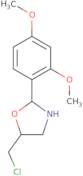 5-(Chloromethyl)-2-(2,4-dimethoxyphenyl)-1,3-oxazolidine