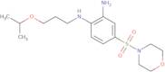 4-(Morpholine-4-sulfonyl)-1-N-[3-(propan-2-yloxy)propyl]benzene-1,2-diamine