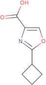 2-Cyclobutyl-1,3-oxazole-4-carboxylic acid