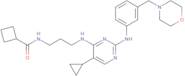 IKKµ/TBK1 Inhibitor II, MRT67307
