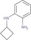 N1-Cyclobutylbenzene-1,2-diamine