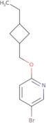 1-Methyl-5-oxo-4,5,6,7-tetrahydro-1H-indazole-3-carboxylic acid