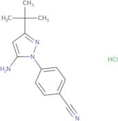 4-(5-Amino-3-tert-butyl-1H-pyrazol-1-yl)benzonitrile hydrochloride