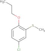 1-(3-Chloro-6-methoxyphenyl)-1-propanol