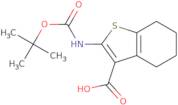 2-tert-Butoxycarbonylamino-4,5,6,7-tetrahydro-benzo[b]thiophene-3-carboxylic Acid