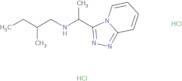 (2-Methylbutyl)(1-{[1,2,4]triazolo[4,3-a]pyridin-3-yl}ethyl)amine dihydrochloride