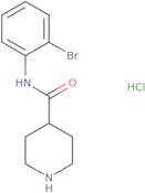 N-(2-Bromophenyl)piperidine-4-carboxamide hydrochloride