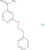 2-(2-Phenylethoxy)pyridine-4-carboximidamide hydrochloride