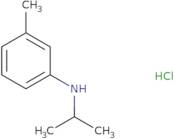 3-Methyl-N-(propan-2-yl)aniline hydrochloride