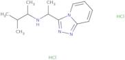 (3-Methylbutan-2-yl)(1-{[1,2,4]triazolo[4,3-a]pyridin-3-yl}ethyl)amine dihydrochloride