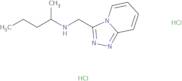 (Pentan-2-yl)({[1,2,4]triazolo[4,3-a]pyridin-3-yl}methyl)amine dihydrochloride