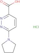 6-(Pyrrolidin-1-yl)pyridazine-3-carboxylic acid hydrochloride