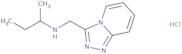 (Butan-2-yl)({[1,2,4]triazolo[4,3-a]pyridin-3-yl}methyl)amine hydrochloride