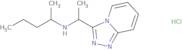 (Pentan-2-yl)(1-{[1,2,4]triazolo[4,3-a]pyridin-3-yl}ethyl)amine hydrochloride