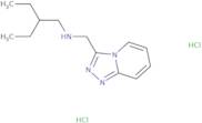 (2-Ethylbutyl)({[1,2,4]triazolo[4,3-a]pyridin-3-ylmethyl})amine dihydrochloride