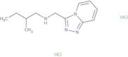 (2-Methylbutyl)({[1,2,4]triazolo[4,3-a]pyridin-3-ylmethyl})amine dihydrochloride