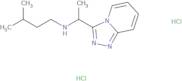 (3-Methylbutyl)(1-{[1,2,4]triazolo[4,3-a]pyridin-3-yl}ethyl)amine dihydrochloride