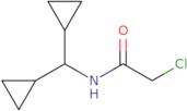 2-Chloro-N-(dicyclopropylmethyl)acetamide