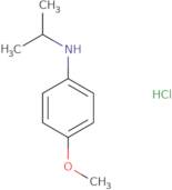 4-Methoxy-N-(propan-2-yl)aniline hydrochloride