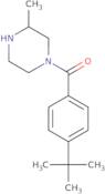 1-(4-tert-Butylbenzoyl)-3-methylpiperazine