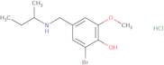 2-Bromo-4-{[(butan-2-yl)amino]methyl}-6-methoxyphenol hydrochloride