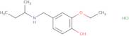 4-{[(Butan-2-yl)amino]methyl}-2-ethoxyphenol hydrochloride