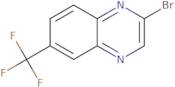 2-Bromo-6-(trifluoromethyl)quinoxaline