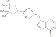 (4-((6-Chloro-9H-purin-9-yl)methyl)phenyl)boronic acid pinacol ester