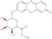 RUG ®, Resorufin-beta-D-glucuronic acid methyl ester, Biosynth Patent : EP 2718458 and US 9127303