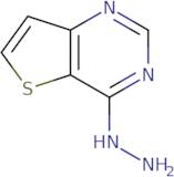 4-Hydrazinothieno[3,2-d]pyrimidine