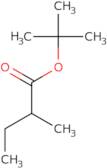 tert-Butyl 2-methylbutanoate