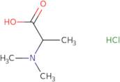 2-(Dimethylamino)propanoic acid hydrochloride