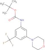 (3-Morpholin-4-yl-5-trifluoromethyl-phenyl)-carbamic acid tert-butyl ester