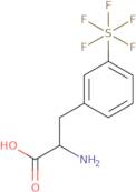 3-(Pentafluorosulfur)-DL-phenylalanine