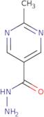 2-Methyl-5-pyrimidinecarbohydrazide