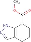 Methyl 4,5,6,7-tetrahydro-1H-indazole-7-carboxylate