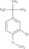 2-Bromo-4-tert-butyl-1-methoxybenzene