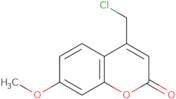 4-Chloromethyl-7-methoxy-chromen-2-one