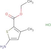 Ethyl 5-amino-3-methylthiophene-2-carboxylate hydrochloride