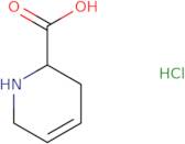 1,2,5,6-Tetrahydropyridine-2-carboxylic acid hydrochloride