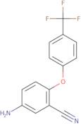 5-Amino-2-[4-(trifluoromethyl)phenoxy]benzonitrile