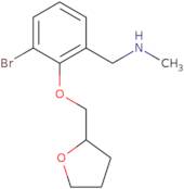 {[3-Bromo-2-(oxolan-2-ylmethoxy)phenyl]methyl}(methyl)amine